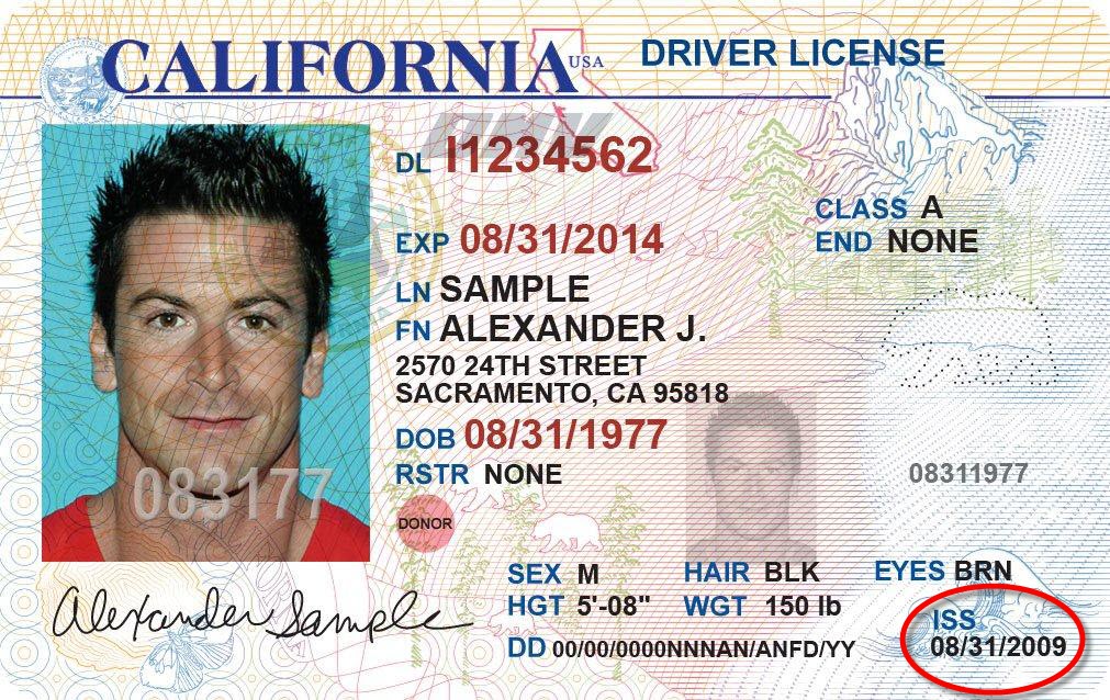 Florida Drivers License Issue Date yellowestate