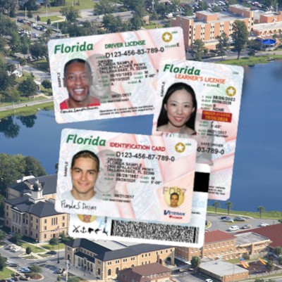 Florida drivers license issue date
